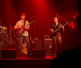 Fox & The undedogs