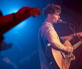 Fox & The undedogs