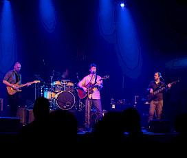 Fox & The undedogs