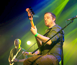 Fox & The undedogs