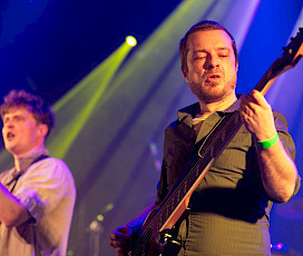 Fox & The undedogs