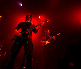 Necrotize